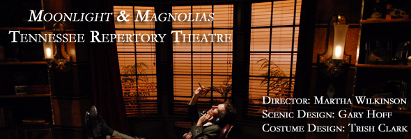 Moonlight and Magnolias